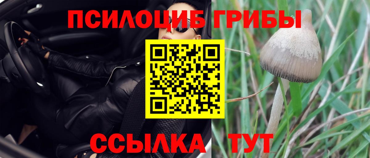 Псилоцибиновые грибы мицелий  Псилоцибиновые грибы Psilocybine cubensis  Вход с VPN  Осинники 
